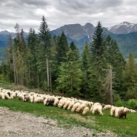 Дом отдыха U Gochy *