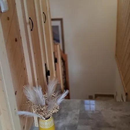 Ferienhaus U Gochy *