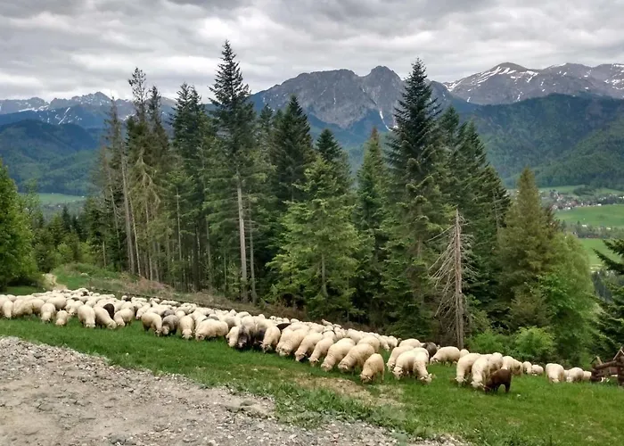 Vakantiehuis U Gochy *